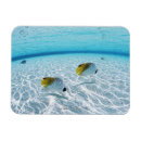 Recherche de touriste magnets Station touristique