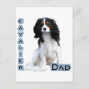 Recherche de cavalli cartes postales Espagne
