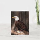 Recherche de aigle blanc cartes postales Animal