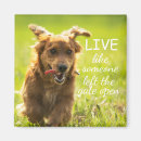 Recherche de citations de chien magnets Dachshund