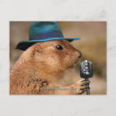Recherche de chien de prairie cartes postales Animal