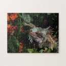 Recherche de lizard puzzles Exotique