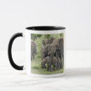 Recherche de parc national de serengeti tasses Afrique