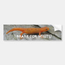 Recherche de triton voiture autocollants Nature