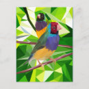 Recherche de duo cartes postales Oiseau
