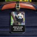 Recherche de province bagages étiquettes Nature