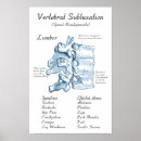 Recherche de alignement art Colonne vertébrale
