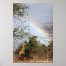 Recherche de girafe posters Africain
