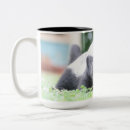 Recherche de blaireau tasses Faune