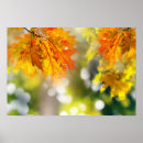 Recherche de leaves painting posters Bright