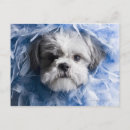 Recherche de je ne suis pas gros cartes postales Plan studio