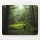 Recherche de forêt tapis souris Nature