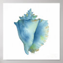 Recherche de coquille posters Coquillages