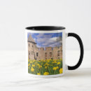 Recherche de attraction touristique tasses Historique