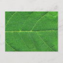 Recherche de macro cartes postales Jardin