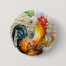 Recherche de rooster buttons Poulet