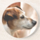 Recherche de jack russel dessous de verres Animal