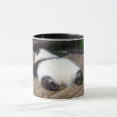 Recherche de sichuan tasses Panda géant