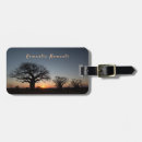 Recherche de baobab accessoires Nature