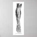 Recherche de jambe humaine posters Vintage