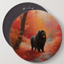 Recherche de terre neuve badges Dog