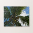 Recherche de coco puzzles Palme