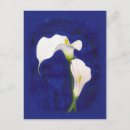 Recherche de callas cartes postales Floral