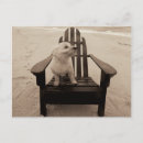 Recherche de animaux noir et blanc cartes postales Capricieux
