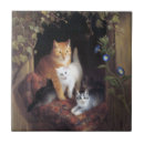 Recherche de famille de chat carreaux Chaton