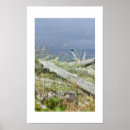 Recherche de dessin d aigle posters Pour tous