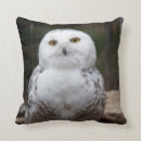 Recherche de oiseau de proie coussins Hibou
