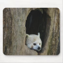 Recherche de panda rouge tapis souris Photographie