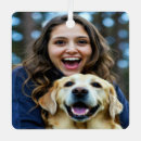 Recherche de labrador retriever ornements Chiens