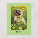 Recherche de voyous cartes postales Toute personne