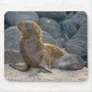 Recherche de grand format tapis souris Île