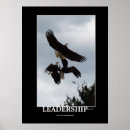 Recherche de rapaces posters Aigle