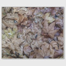 Recherche de tapisserie papier cadeau Nature