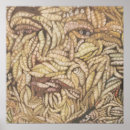 Recherche de grotesques posters Toute personne