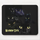 Recherche de chat scaredy Minou