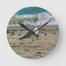 Recherche de mouettes horloges Rivage