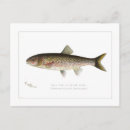 Recherche de pêche ligne cartes postales Vintage