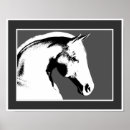 Recherche de cheval noir et blanc posters Pour elle