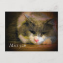 Recherche de chat triste cartes postales Amour