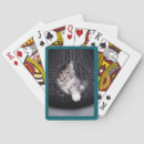 Recherche de chaton jeux de cartes Famille