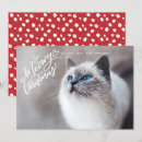 Recherche de chats drôles noël cartes Cats