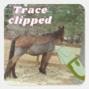 Recherche de tracer autocollants Cheval