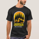 Recherche de branson Travel
