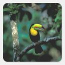 Recherche de habitat autocollants Parc national