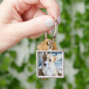 Recherche de pembroke welsh corgi porteclés Chiot
