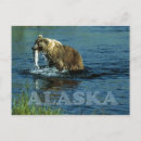 Recherche de kodiak alaska cartes postales Ours